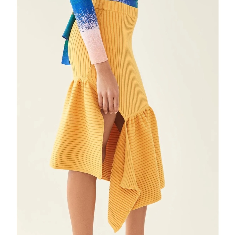 Revolve Skirt - Picture 3 of 6